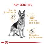 Royal Canin® Breed Health Nutrition® German Shepherd Breed Specific Adult Dog Dry Food 30lb