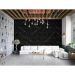 MSIAashini Black 16 in. x 32 in. Polished Porcelain Marble Look Floor and Wall Tile (14.20 sq. ft./Case) (NHDAASBLA1632C)