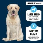 Authority® Everyday Health Large Breed Adult Dry Dog Food - Chicken & Rice 34lb