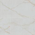 MSIAmari Gold 24 in. x 48 in. Polished Porcelain Floor and Wall Tile (24 sq. ft. /Case) (NHDAMAGOL2448P)