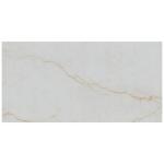 MSIAmari Gold 24 in. x 48 in. Polished Porcelain Floor and Wall Tile (24 sq. ft. /Case) (NHDAMAGOL2448P)