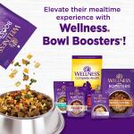 Wellness® Complete Health Adult Dog Food - Natural Chicken & Oatmeal 26lb