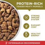 Purina ONE® SmartBlend Everyday Nutrition Adult Dog Dry Food - Lamb, High-Protein 40lb