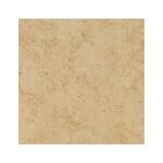 TrafficMasterBaja Beige 12 in. x 12 in. Matte Ceramic Floor and Wall Tile (15 sq. ft./Case) (NHDBAJBEI1212C)