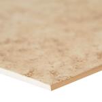 TrafficMasterBaja Beige 12 in. x 12 in. Matte Ceramic Floor and Wall Tile (15 sq. ft./Case) (NHDBAJBEI1212C)