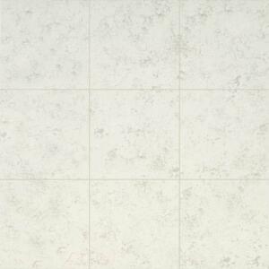 TrafficMasterBaja White 12 in. x 12 in. Matte Ceramic Floor and Wall Tile (15 sq. ft. /Case) (NHDBAJWHI1212C)