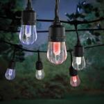 Hampton Bay Smart Black 12-Light 24 ft. Indoor/Outdoor Plug-in Integrated LED RGBW String Light with Party Mode