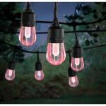 Hampton Bay Smart Black 12-Light 24 ft. Indoor/Outdoor Plug-in Integrated LED RGBW String Light with Party Mode