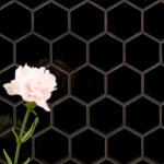 MSIRetro Black 2 in. Hexagon 11 in. x 12 in. Matte Porcelain Mesh-Mounted Mosaic Floor and Wall Tile (0.96 sq. ft./Each) (PT-RETNER-2HEXE)