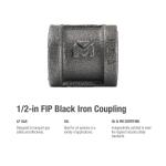 Southland1/2 in. Black Malleable Iron FPT x FPT Coupling Fitting (521-203HN)