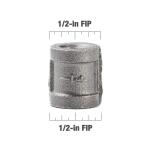 Southland1/2 in. Black Malleable Iron FPT x FPT Coupling Fitting (521-203HN)