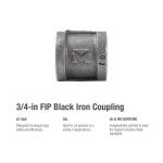 Southland3/4 in. Black Malleable Iron FPT x FPT Coupling Fitting (521-204HN)