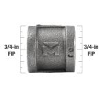 Southland3/4 in. Black Malleable Iron FPT x FPT Coupling Fitting (521-204HN)