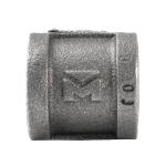 Southland3/4 in. Black Malleable Iron FPT x FPT Coupling Fitting (521-204HN)