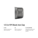 Southland1/2 in. Black Malleable Iron Cap Fitting (521-403HN)