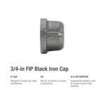 Southland3/4 in. Black Malleable Iron FIP Cap Fitting (521-404HN)