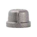 Southland3/4 in. Black Malleable Iron FIP Cap Fitting (521-404HN)