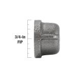 Southland3/4 in. Black Malleable Iron FIP Cap Fitting (521-404HN)