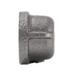 Southland3/4 in. Black Malleable Iron FIP Cap Fitting (521-404HN)