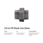 Southland3/4 in. Black Malleable Iron FPT x FPT Union Fitting (521-704HN)