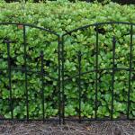 Vigoro Alexander Black Metal Garden Fence (51030)