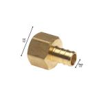 Apollo1/2 in. Brass PEX-B Barb x 1/2 in. Female Pipe Thread Adapter 5-Pack (APXFA12125PK)