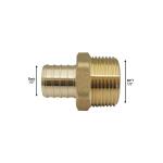 Apollo1 in. Brass PEX-B Barb x Male Pipe Thread Adapter (APXMA11)