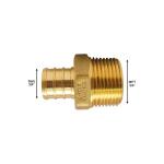 Apollo3/4 in. Brass PEX-B Barb x 3/4 in. Male Pipe Thread Adapter (APXMA3434)