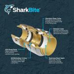 SharkBiteMax 1/2 in. Brass Push-to-Connect Coupling Fitting (UR008A)