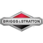 Briggs & Stratton Fuel Filter (5098K)