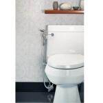 Brondell CleanSpa Handheld Bidet, Plastic