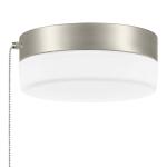 Hampton BayHanafin 9 in. Light Brushed Nickel Integrated LED Ceiling Flush Mount w/ Glass Shade and Pull Chain, Soft White (3000K) (CG3aA015CR1D30)