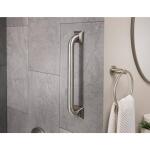 Glacier Bay 16 inch Grab Bar in Brushed Stainless Steel