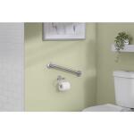 Glacier Bay 18 inch ADA Standards Grab Bar in Brushed Stainless Steel