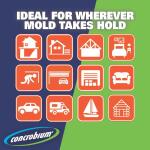 Concrobium Mold Control 1 Gal. (25001CAL)