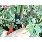 Corona ProCUT Bypass Hand Pruner with 1 in. Cut Capacity, High Carbon Steel Blade, and Full Steel Core Handles (BP 7200CCH)