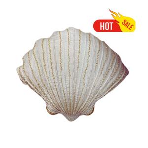 Decorative Pillow shell shape White