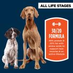 Authority High Performance All Life Stages Dry Dog Food - Turkey, Pea, Salmon, & Duck, 30 lb