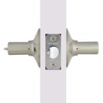 DefiantFreedom Satin Nickel Keyed Entry Door Lever (32LEX200B)