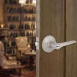 DefiantFreedom Satin Nickel Keyed Entry Door Lever (32LEX200B)