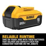 DEWALT 20V MAX Premium Lithium-Ion 5.0Ah Battery Pack (2 Pack) (DCB205-2)