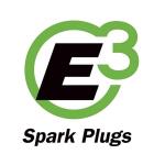 E313/16 in. Spark Plug for 4-Cycle Engines (E3.22)