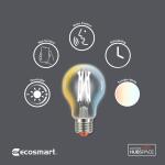 EcoSmart 60-Watt Equivalent Smart A19 Clear Tunable White CEC LED Light Bulb with Voice Control (1-Bulb)