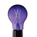 EcoSmart 40-Watt Equivalent A19 Blacklight Ultraviolet Glow in the Dark LED Light Bulb - 1 Pack