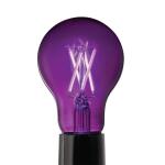 EcoSmart 40-Watt Equivalent A19 Dimmable Filament Purple Colored Glass LED Light Bulb - 1 Pack