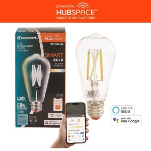 EcoSmart 60-Watt Equivalent Smart ST19 Clear Tunable White CEC LED Light Bulb with Voice Control (1-Bulb)