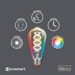 EcoSmart60-Watt Equivalent Smart ST19 Clear Color Changing CEC LED Light Bulb with Voice Control (1-Bulb)