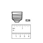 EcoSmart60-Watt Equivalent A19 Dimmable White Filament CEC Clear Glass E26 Medium Base LED Light Bulb Selectable White 1-Pack (A19605CCTCA/WFIL/ECP)