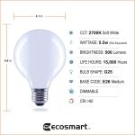 EcoSmart60-Watt Equivalent G25 Globe Dimmable ENERGY STAR Filament LED Frosted Vintage Light Bulb Soft White 3-Pack (FG-03393)