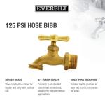 Everbilt3/4 in. Brass MIP Hose Bibb (103-004EB)